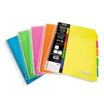 MyBook Quaderno Maxi Spiralato A4 con divisori Rigatura 1R un rigo copertina PPL 100 fogli carta 80 gr/m²